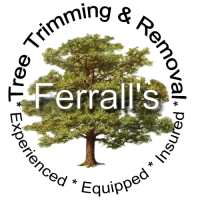 Ferrall\'s Tree Trimming