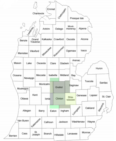 michigan-counties2