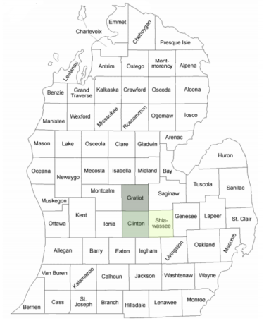 michigan-counties2